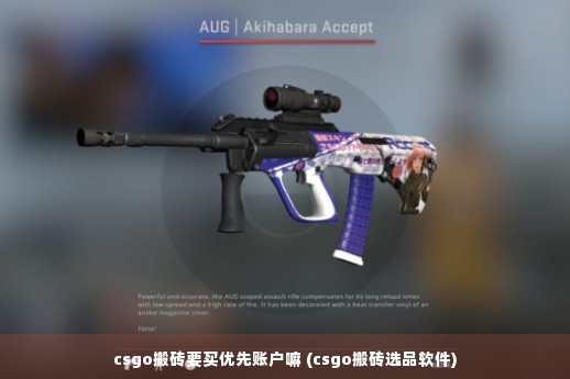 csgo搬砖要买优先账户嘛 (csgo搬砖选品软件)