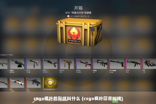 csgo枫叶的贴纸叫什么 (csgo枫叶印花叫啥)