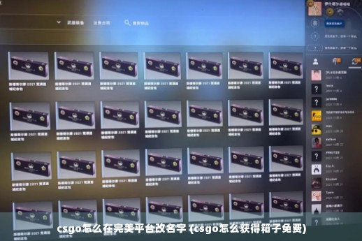 csgo怎么在完美平台改名字 (csgo怎么获得箱子免费)