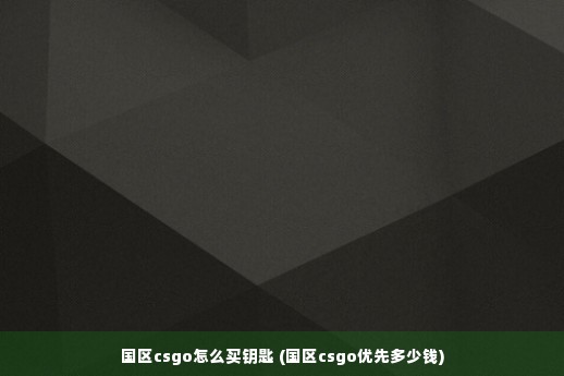 国区csgo怎么买钥匙 (国区csgo优先多少钱)