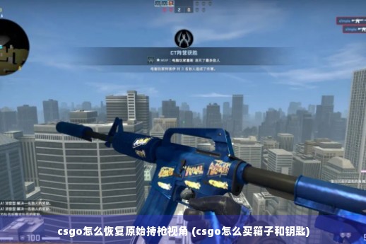 csgo怎么恢复原始持枪视角 (csgo怎么买箱子和钥匙)