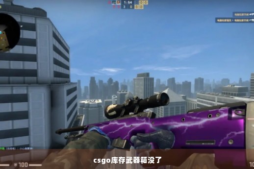 csgo库存武器箱没了