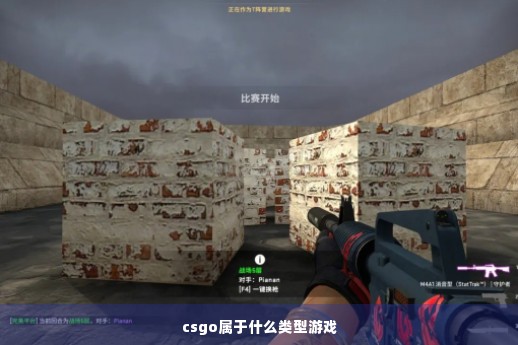 csgo属于什么类型游戏