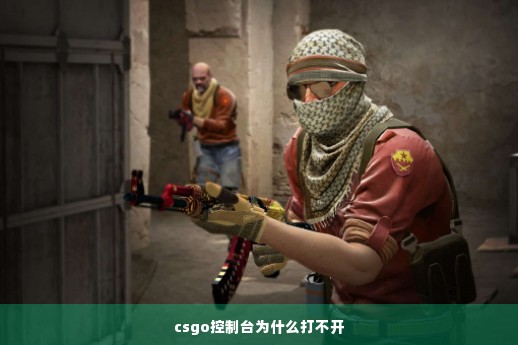 csgo控制台为什么打不开