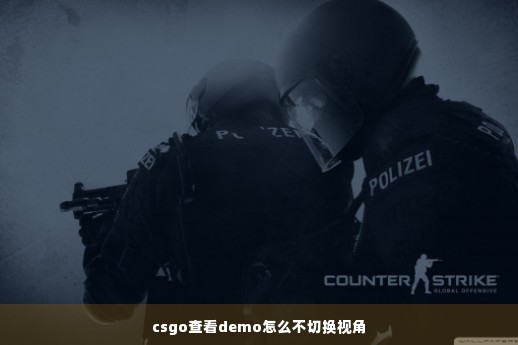 csgo查看demo怎么不切换视角