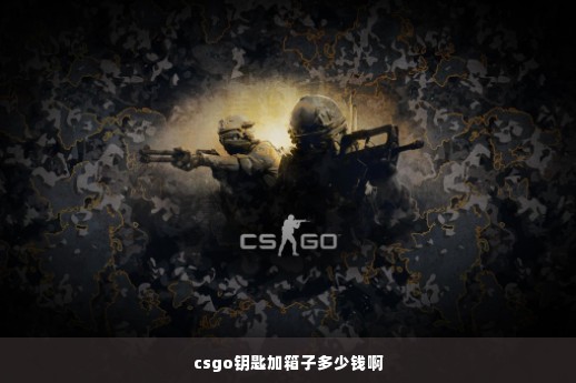 csgo钥匙加箱子多少钱啊