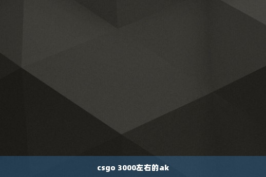 csgo 3000左右的ak