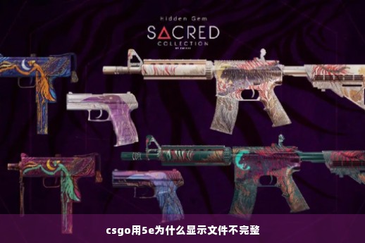 csgo用5e为什么显示文件不完整