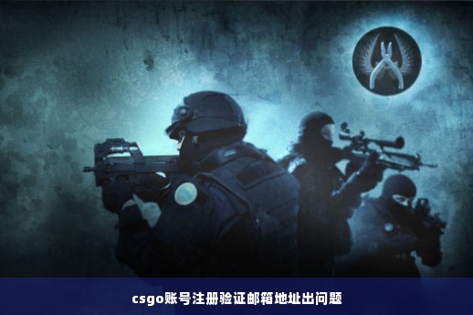 csgo账号注册验证邮箱地址出问题