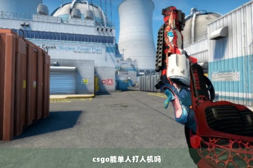 csgo能单人打人机吗