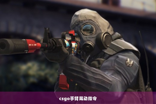 csgo手臂晃动指令