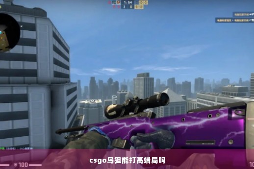 csgo鸟狙能打高端局吗