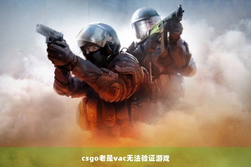 csgo老是vac无法验证游戏