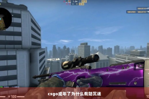 csgo成年了为什么有防沉迷