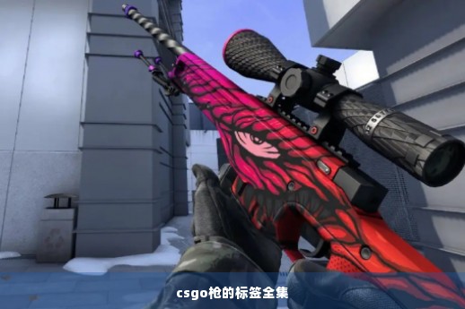 csgo枪的标签全集