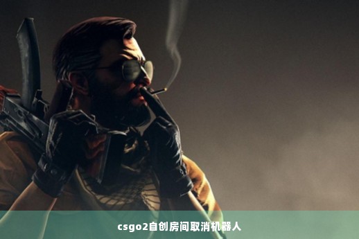 csgo2自创房间取消机器人