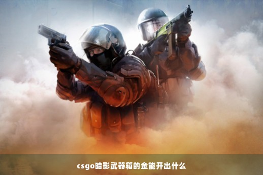 csgo暗影武器箱的金能开出什么