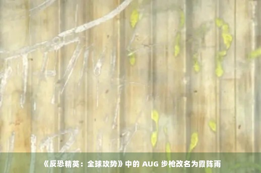 《反恐精英：全球攻势》中的 AUG 步枪改名为霞阵雨