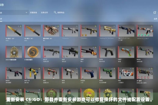 重新安装 CS:GO：卸载并重新安装游戏可以修复损坏的文件或配置设置。