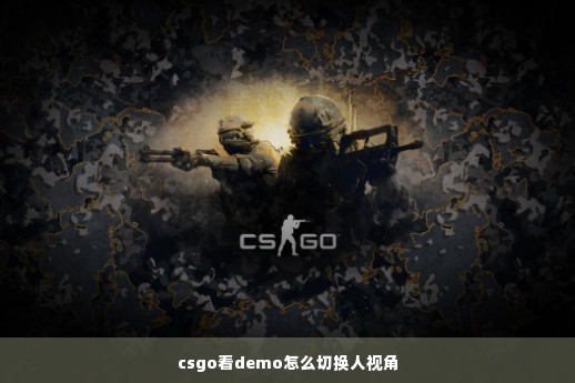 csgo看demo怎么切换人视角