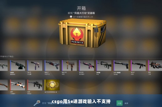 csgo用5e进游戏输入不支持