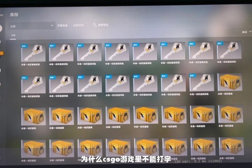 为什么csgo游戏里不能打字