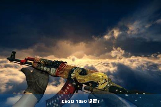 CSGO 1050 设置?