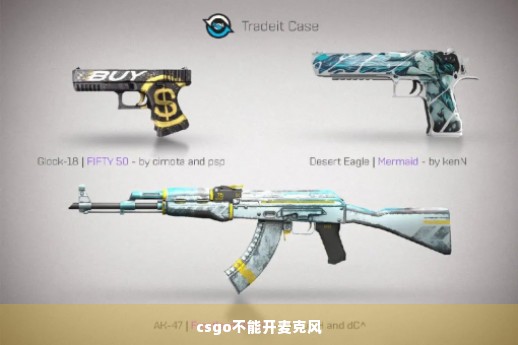 csgo不能开麦克风