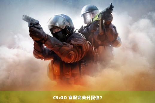 CS:GO 官配完美升段位？