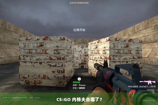 CS:GO 内格夫去哪了？