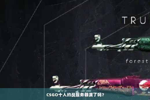 CSGO十人约战服务器满了吗？