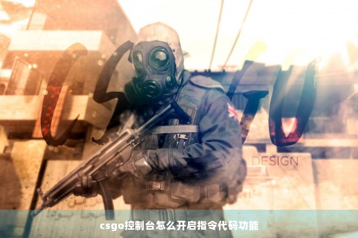 csgo控制台怎么开启指令代码功能