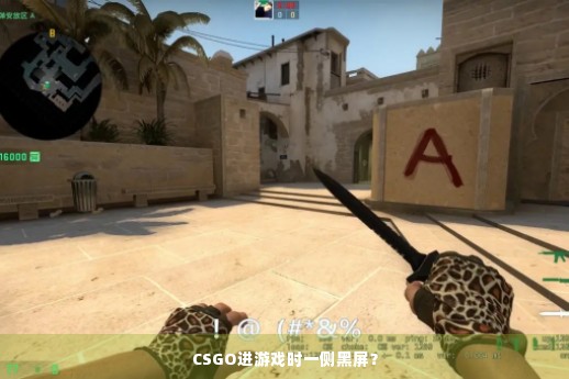 CSGO进游戏时一侧黑屏？