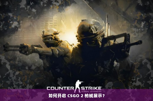 如何开启 CSGO 2 枪械展示？