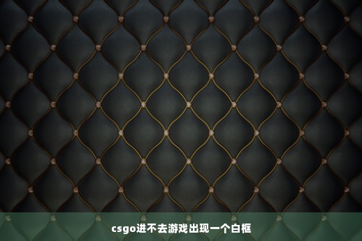 csgo进不去游戏出现一个白框