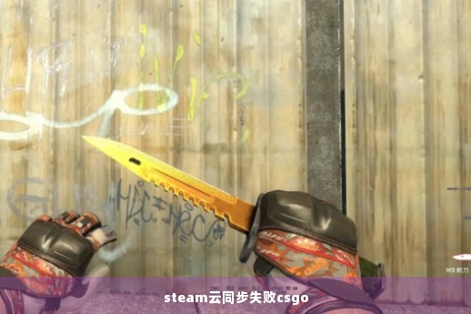 steam云同步失败csgo