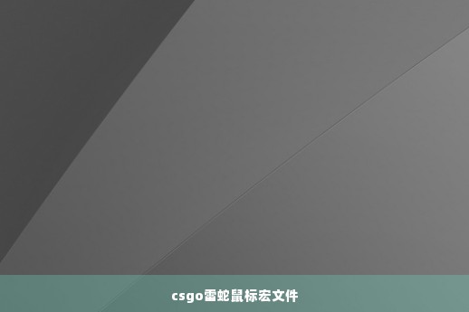 csgo雷蛇鼠标宏文件