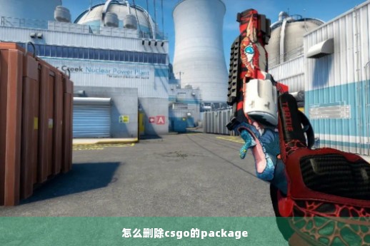 怎么删除csgo的package