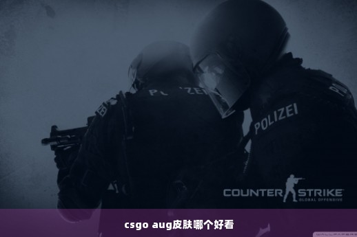 csgo aug皮肤哪个好看