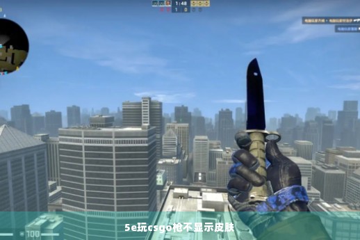 5e玩csgo枪不显示皮肤