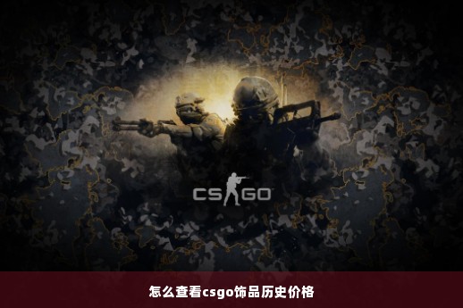 怎么查看csgo饰品历史价格