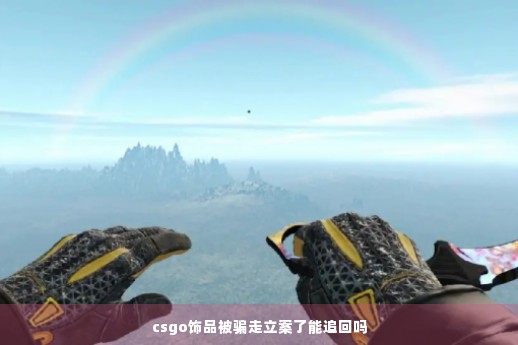 csgo饰品被骗走立案了能追回吗