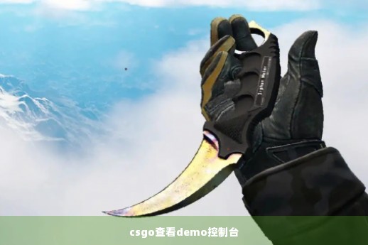 csgo查看demo控制台