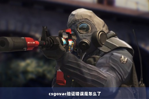 csgovac验证错误是怎么了