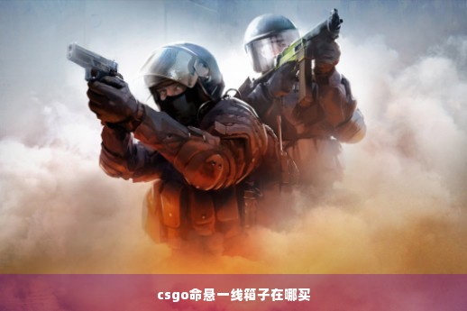 csgo命悬一线箱子在哪买