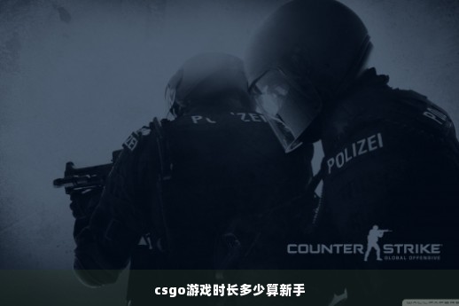 csgo游戏时长多少算新手