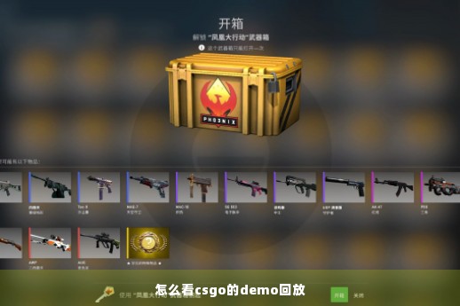 怎么看csgo的demo回放