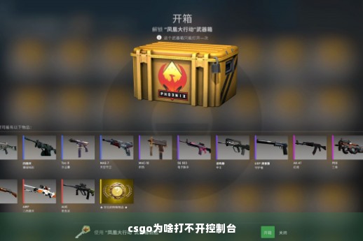 csgo为啥打不开控制台