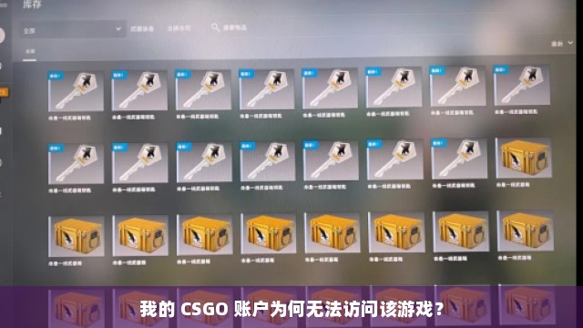 我的 CSGO 账户为何无法访问该游戏？