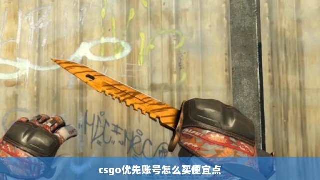 csgo优先账号怎么买便宜点